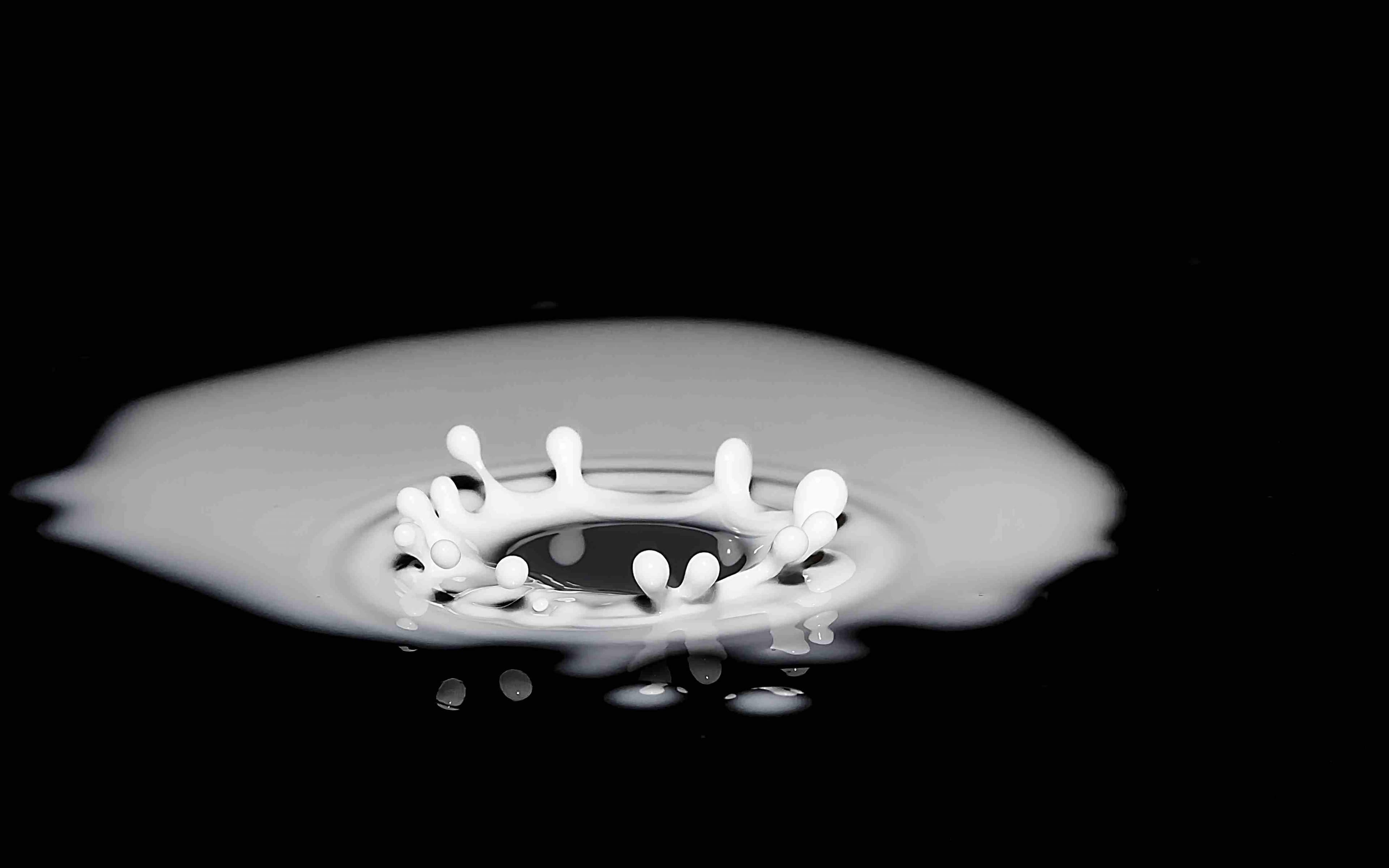 [object Object]